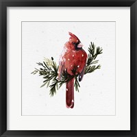 Cardinal with Snow I Framed Print