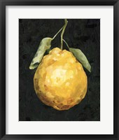 Dark Lemon II Framed Print