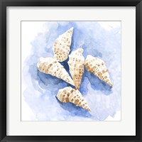 Shell Impressions I Framed Print