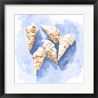 Shell Impressions II Framed Print