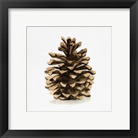 Framed 'Conifer Cone I' border=