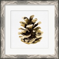 Framed 'Conifer Cone II' border=