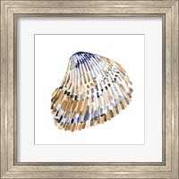 Framed 'Simple Shells II' border=