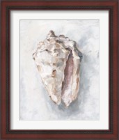 Framed 'White Shell Study II' border=