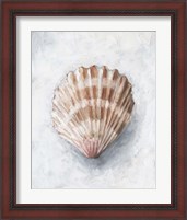 Framed 'White Shell Study IV' border=