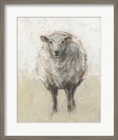 Framed Fluffy Sheep I