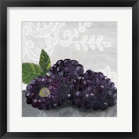 Laura's Harvest IV Framed Print