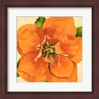 Framed 'Copper Petals I' border=