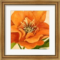 Framed 'Copper Petals II' border=