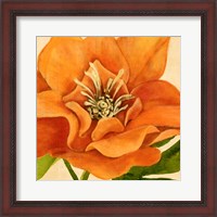 Framed 'Copper Petals II' border=