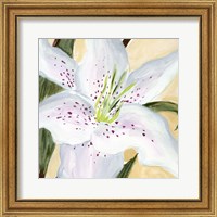 Framed 'White Lily I' border=