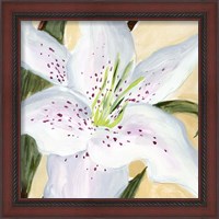 Framed 'White Lily I' border=