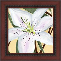 Framed 'White Lily II' border=