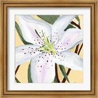 Framed 'White Lily II' border=