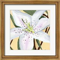 Framed 'White Lily II' border=