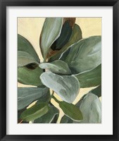 Framed 'Plant Study I' border=