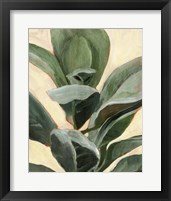 Framed 'Plant Study II' border=