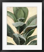 Plant Study II Framed Print