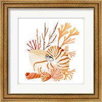 Framed 'Nautilus Grouping I' border=