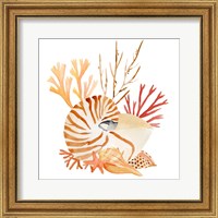 Framed 'Nautilus Grouping II' border=