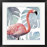 Flamingo Splash I Framed Print