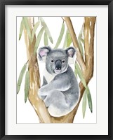 Framed Woodland Koala I