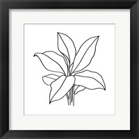 Foliage Contour II Framed Print