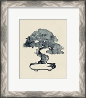 Framed 'Indigo Bonsai I' border=