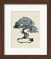 Framed 'Indigo Bonsai I' border=