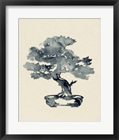 Framed Indigo Bonsai III