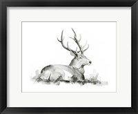 Framed Recumbent Stag I