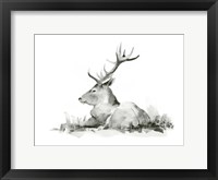 Framed Recumbent Stag II