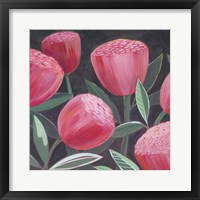 Framed 'Blush Blossoms I' border=