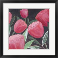 Blush Blossoms II Framed Print