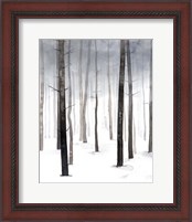 Framed 'Hazy Winter Walk I' border=