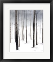 Framed 'Hazy Winter Walk I' border=