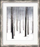 Framed 'Hazy Winter Walk I' border=