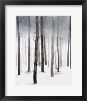 Framed 'Hazy Winter Walk II' border=