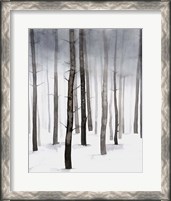 Framed 'Hazy Winter Walk II' border=