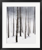 Hazy Winter Walk II Framed Print
