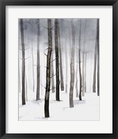 Framed 'Hazy Winter Walk II' border=