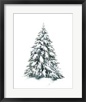 Blue Spruce II Framed Print