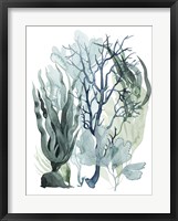 Sea Leaves IV Framed Print