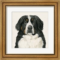 Framed 'Best Bud I' border=