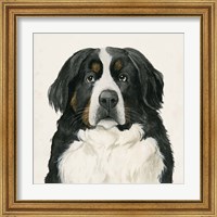 Framed 'Best Bud I' border=