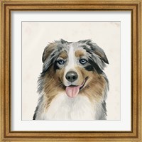 Framed 'Best Bud III' border=