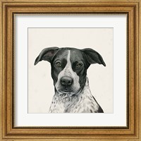 Framed 'Best Bud IV' border=