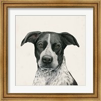 Framed 'Best Bud IV' border=