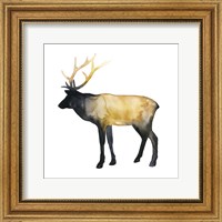 Framed 'Elk Aglow I' border=