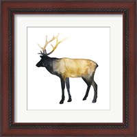 Framed 'Elk Aglow I' border=